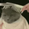 HairCut emote