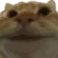 jj