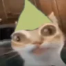 Ermki emote