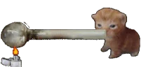 crackCat emote
