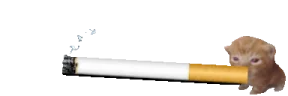 cigarettebert emote