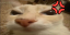 otagr