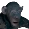 ohno emote
