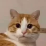 sup emote