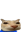 otagi