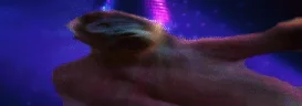 DISCOMONKE emote