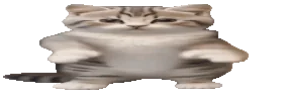widetime5 emote