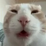 iuh emote