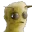 MOTHS