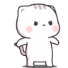 madCat emote