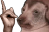 hesCreature