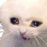 PAIN emote