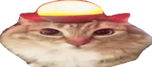 ALERT emote