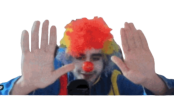 bibiCAUGHT emote
