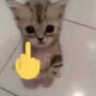fukU emote