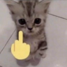 fukU emote