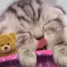 snore emote