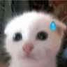 jaj emote