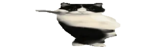 widetime6 emote