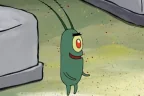 CORRECT emote
