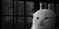 glorpPain emote