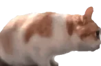 HesRightBehindMeIsntHe emote