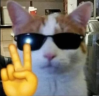 catSwag emote
