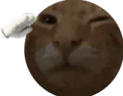 buh7 emote