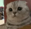 sadly emote