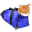 inthebag