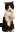 CatTime5
