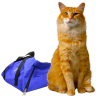 outthebag emote