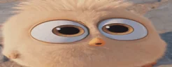 blblblblbl emote