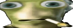 WhatTaahFuck emote