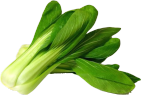 BokChoy emote
