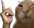 hesBuh emote