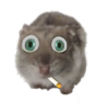 Toh emote
