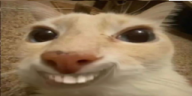 otagsdd emote
