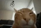 buhFlip emote