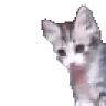 dap emote