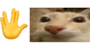 schere emote