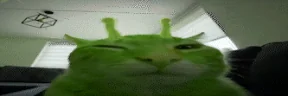 buhglorp emote