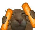 buhRave emote