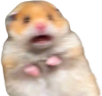 ohshhh emote