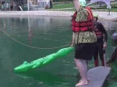 KROKO emote