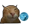 !play emote
