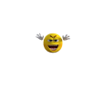 Miniboo emote