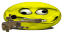 AWPVERBOT