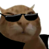buhez emote