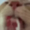 LIZUN3 emote